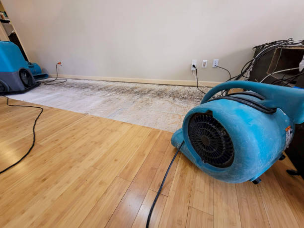 Professional Flood Damage Cleanup technician working in Copemish, MI